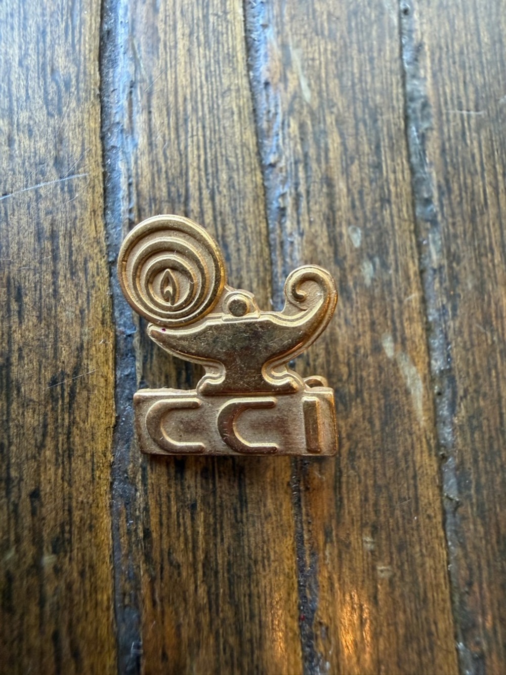 Lamp of Learning Pin